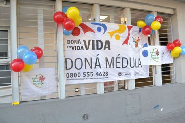 Se conmemora el Día Mundial del Donante de Médula Ósea. Se conmemora el Día Mundial del Donante de Médula Ósea.