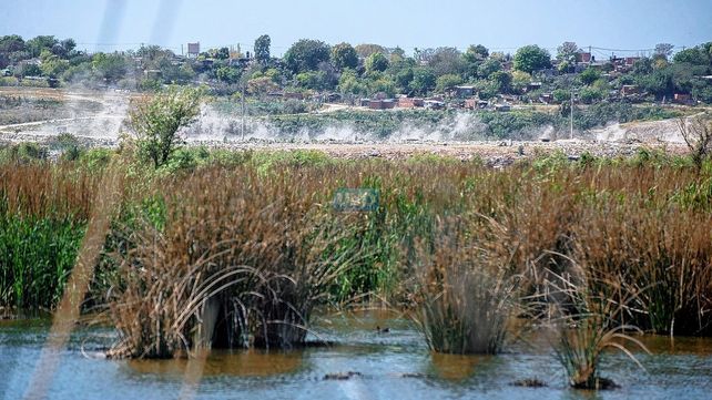 Humedales. En el oeste está el más extenso borde costero paranaense, y el menos conocido por los habitantes de la capital entrerriana.