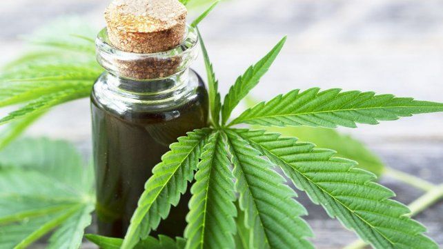 Más provincias reglamentan el uso del cannabis medicinal. Más provincias reglamentan el uso del cannabis medicinal.