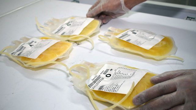 En Concordia muchos deciden brindar su aporte para que tantos otros reciban plasma.