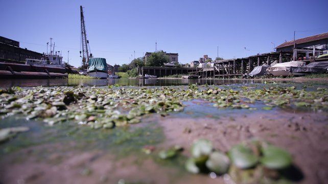 La bajante del Paraná deja postales inéditas.