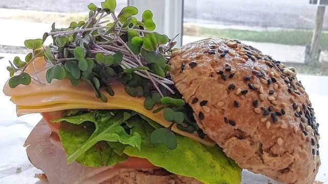 Los microgreens suman adeptos