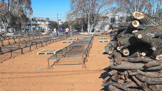 El predio Multieventos de Concepción del Uruguay ya está preparado para batir el récord. El predio Multieventos de Concepción del Uruguay ya está preparado para batir el récord.