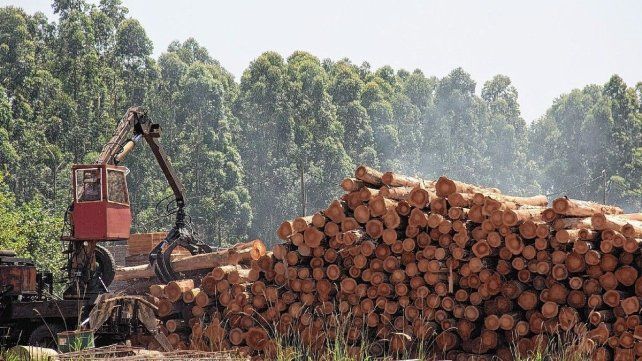 Buscan darle valor a la producción de Salto Grande. Buscan darle valor a la producción de Salto Grande.