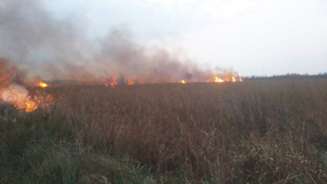 Humo negro para la Ley de Humedales