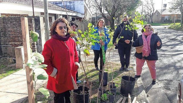 Vecinos plantarán árboles en Altos del Paracao este sábado