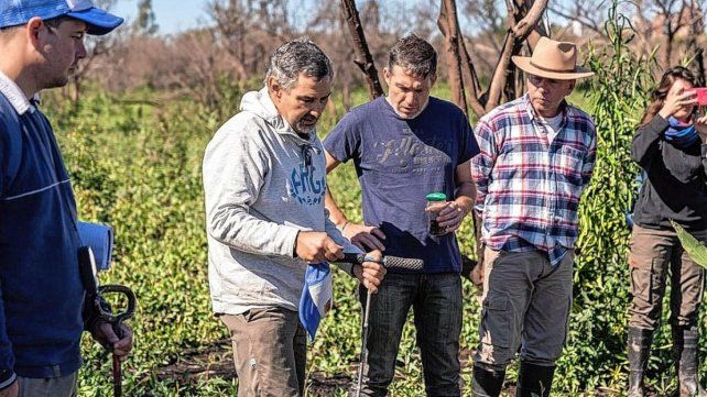 El objetivo del equipo de Uader es hacer un diagnóstico de situación de suelos, pastizales y árboles para evaluar el estado de áreas afectadas por el fuego