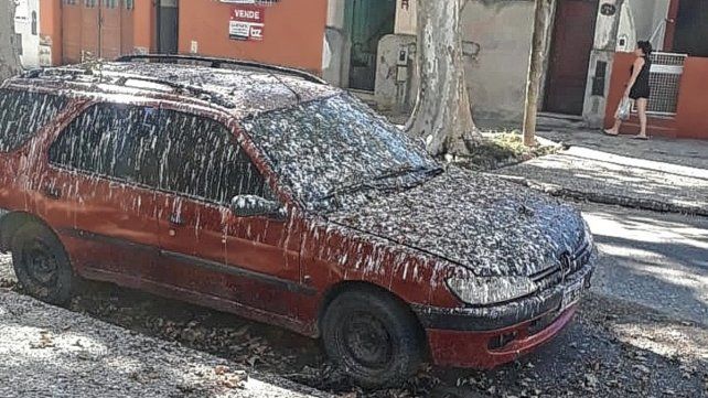 Excremento de palomas afectan a vecinos Excremento de palomas afectan a vecinos