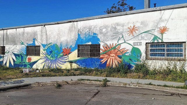 Programa municipal Programa municipal