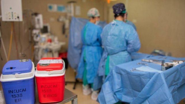 Paraná: seis pacientes accederán a trasplantes gracias a nueva ablación de órganos Paraná: seis pacientes accederán a trasplantes gracias a nueva ablación de órganos