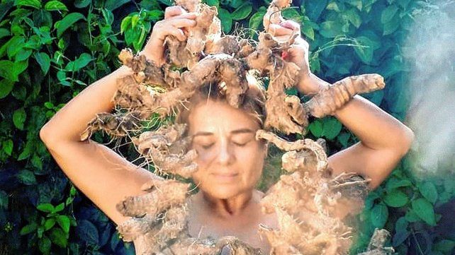 Museo de Bellas Artes: Se inaugura una propuesta de Marisa Núñez Caminos