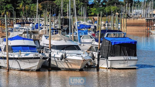 Las guarderías náuticas están saturadas por la alta demanda Las guarderías náuticas están saturadas por la alta demanda