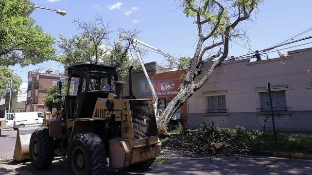 Paraná: la comuna realiza un operativo de urgencia tras los daños por el temporal