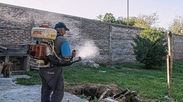 La ciudad de Paraná es zona de circulación autóctona del dengue.