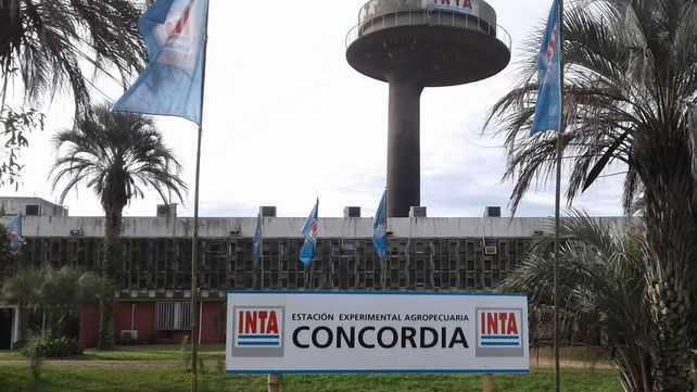 Incertidumbre en el INTA. Incertidumbre en el INTA.