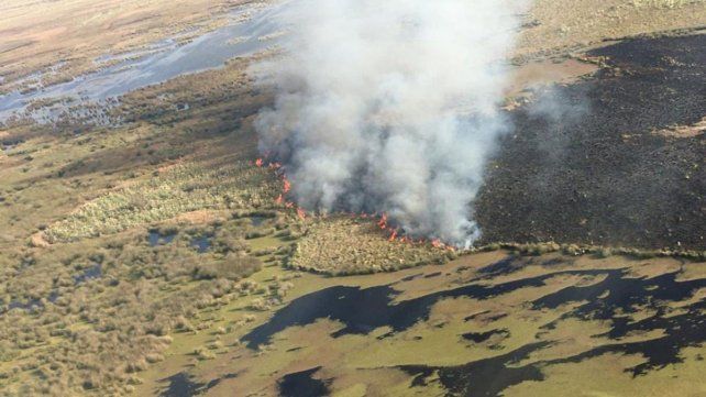 El Servicio Nacional de Manejo de Fuego recordó que “el 95% de los incendios forestales son producidos por intervenciones humanas.