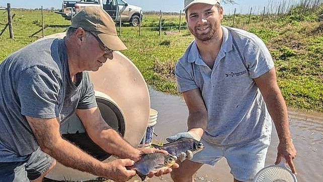 La acuicultura crece en la región La acuicultura crece en la región