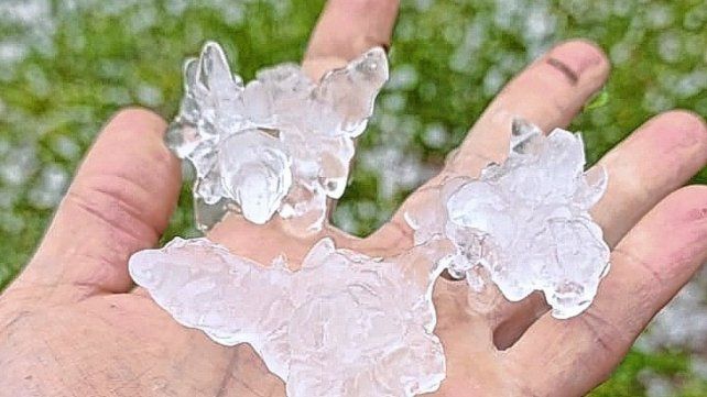 El tamaño del granizo que cayó en el norte entrerriano. El tamaño del granizo que cayó en el norte entrerriano.