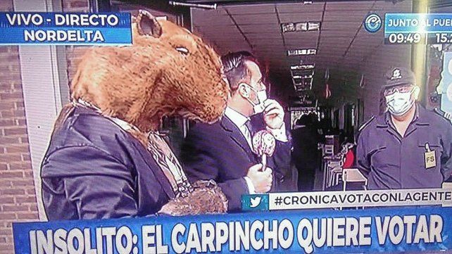 Las PASO en las redes: tendencias y curiosidades