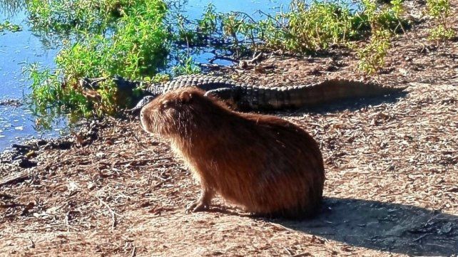Ir a la reserva La Chinita es un programa ideal para concretar en familia este mes Ir a la reserva La Chinita es un programa ideal para concretar en familia este mes