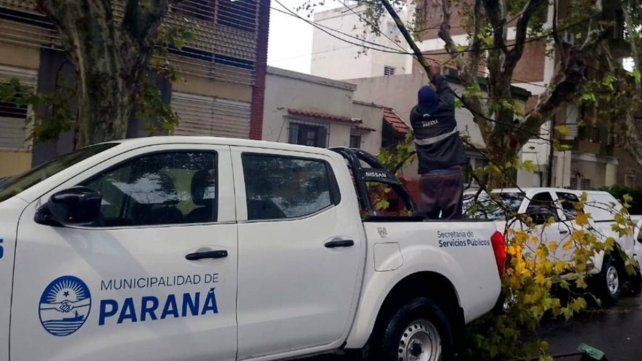 Paraná: múltiples complicaciones por el temporal de viento y lluvia Paraná: múltiples complicaciones por el temporal de viento y lluvia