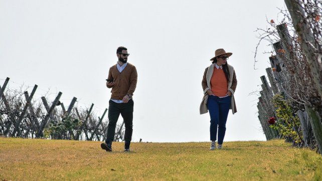 Estas vacaciones se consolida el enoturismo.