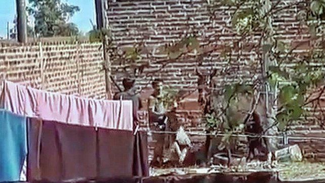 El caballo habría sido roba en la zona.