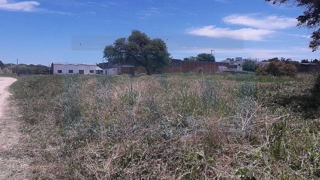 Paraná: un techo propio sin importar cómo