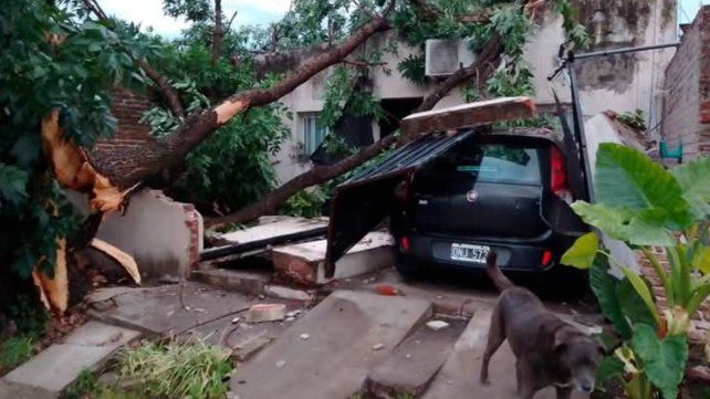 Informe de Enersa sobre el suministro eléctrico tras el temporal en Entre Ríos Informe de Enersa sobre el suministro eléctrico tras el temporal en Entre Ríos