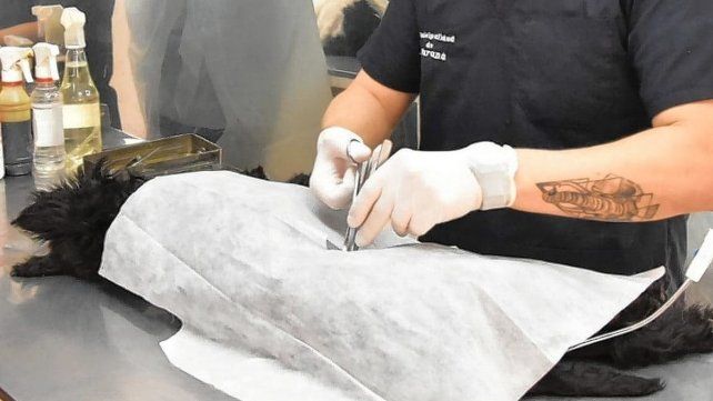 El trabajo diario del área de la Municipalidad.