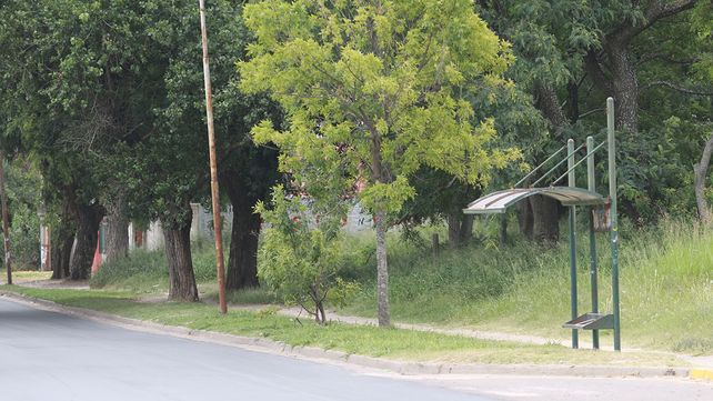 En los barrios de Paraná las garitas siguen vacías porque los colectivos no pasan.