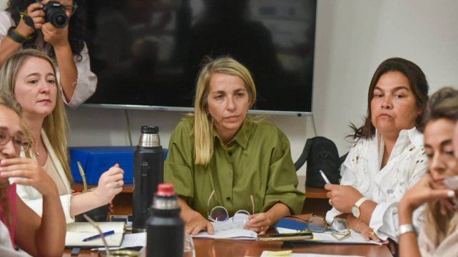 Entre Ríos: la oposición no avaló el proyecto del Ejecutivo para auditar la deuda provincial Entre Ríos: la oposición no avaló el proyecto del Ejecutivo para auditar la deuda provincial