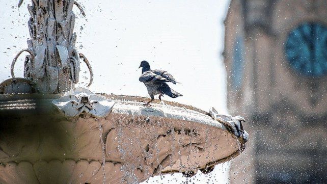 El calor y la humedad persisten en Paraná en pleno otoño El calor y la humedad persisten en Paraná en pleno otoño