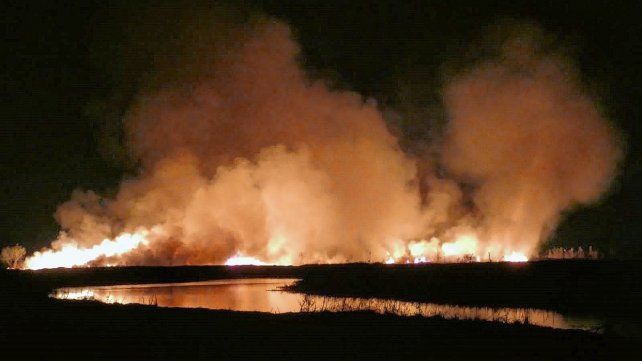 Escenas dantescas en el Delta, en cada verano, con consecuencias desoladoras.