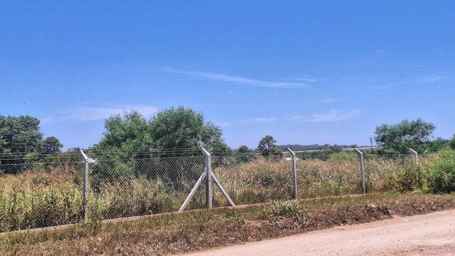 En un predio del Parque Industrial avanza un yuyal En un predio del Parque Industrial avanza un yuyal