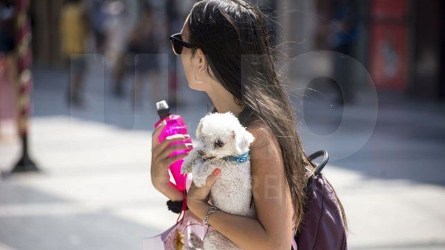 Martes con temperaturas primaverales: la máxima será de 27 grados Martes con temperaturas primaverales: la máxima será de 27 grados
