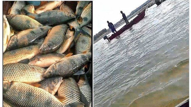 Piden frenar la depredación.