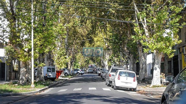 Calle Misiones es una de las más afectadas por la invasión de palomas Calle Misiones es una de las más afectadas por la invasión de palomas