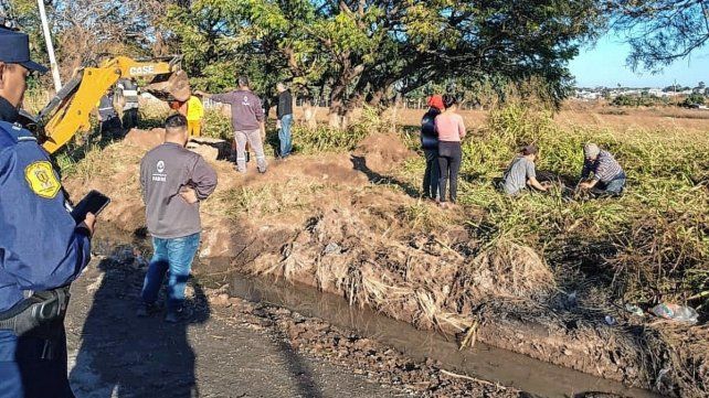 Anestesiado. El animal, tras ser rescatado, tuvo un tiempo para recuperarse.