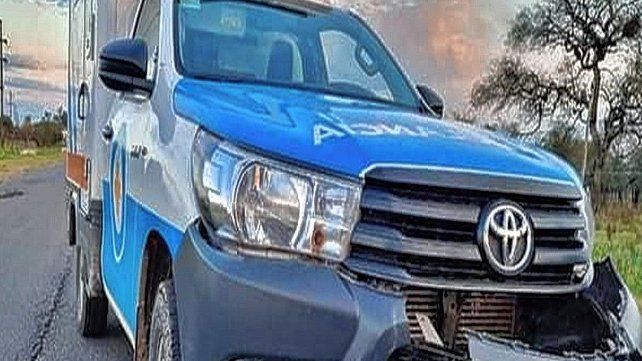 Ambulancia impactó animales sueltos. Ambulancia impactó animales sueltos. 