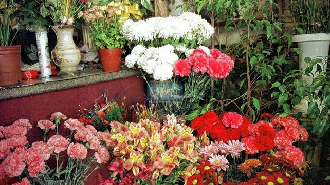 Crecen los canasteros