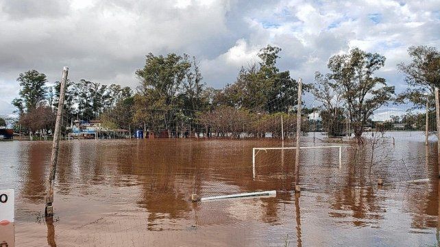 Río Uruguay en su máximo nivel. Río Uruguay en su máximo nivel.
