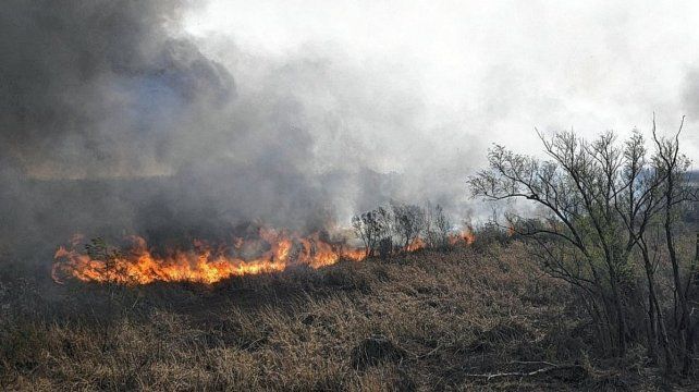 La quema de los humedales del Paraná del año pasado todavía está impune y el ecocidio continúa.