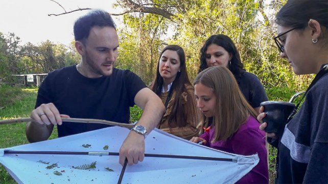 Leandro Segovia en biólogo aracnólogo y en diálogo con UNO explicó no sólo que se trata de animales inofensivos, además destacó su importancia en el ecosistema.