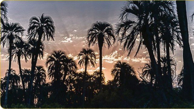 Parque Nacional. El Palmar tendrá nueva tarifa desde el lunes. Parque Nacional. El Palmar tendrá nueva tarifa desde el lunes.