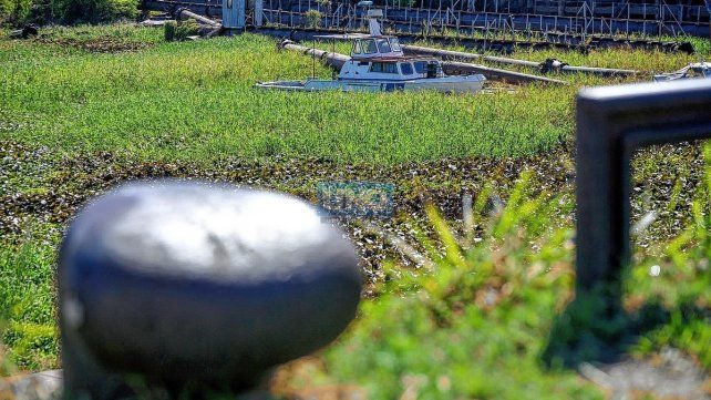 La situación actual del Puerto Nuevo de Paraná, además del abandono, está caracterizada por los efectos de la bajante