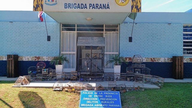 Secuestraron 30 aves silvestres y marihuana en Colonia Avellaneda y San Benito