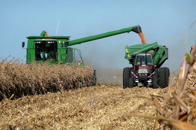 Demanda. La provincia consume 1,8 millones de toneladas de maíz. Demanda. La provincia consume 1,8 millones de toneladas de maíz.
