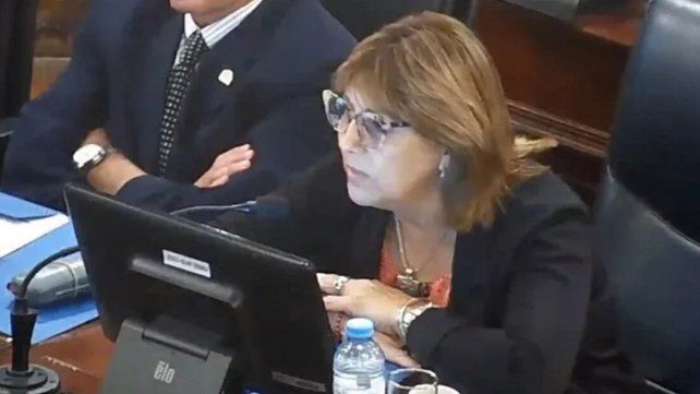 Liliana Salinas, diputada provincial por el Partido Conservador Popular. Liliana Salinas, diputada provincial por el Partido Conservador Popular.