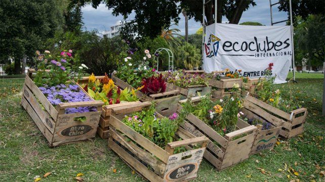 La convocatoria de Ecoclub Paraná es para el 19 de mayo de 15:30 a 19:30 en la plaza Sáenz Peña, en la esquina de Enrique Carbó y Arturo Illia